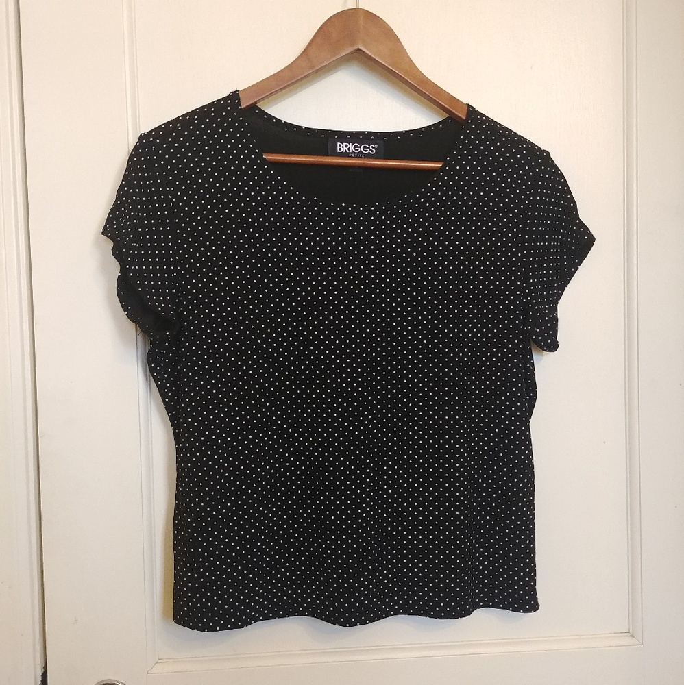 Vintage Briggs Petite Top